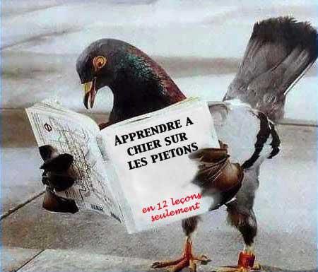 mais il faut lire
